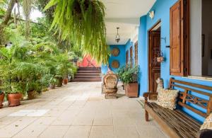 リオデジャネイロにあるSanta Teresa Junto à Naturezaの青い壁とベンチ、鉢植えの植物が並ぶ廊下