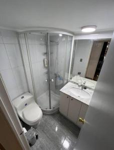 een badkamer met een douche, een toilet en een wastafel bij Departamento 3 dorm para 6 huéspedes Colon con Tobalaba in Santiago