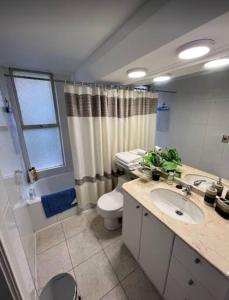 een badkamer met een wastafel, een toilet en een douche bij Departamento 3 dorm para 6 huéspedes Colon con Tobalaba in Santiago