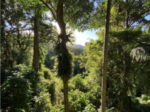 度假屋周边自然景观