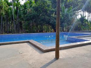 The swimming pool at or close to Green Woods Resort Near Kashid beach