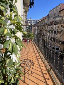 Budova, v ktorej sa apartmán nachádza + 37 fotografií