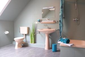 a bathroom with a pink sink and a toilet at Ferienhaus Heinrichs in Kappeler Niederstrich