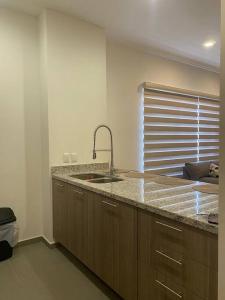 マサトランにあるCondo in El Centro Near Malecon!のシンクとカウンタートップのあるキッチン