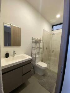 マサトランにあるCondo in El Centro Near Malecon!のトイレ、洗面台、シャワー付きのバスルーム +15枚の写真