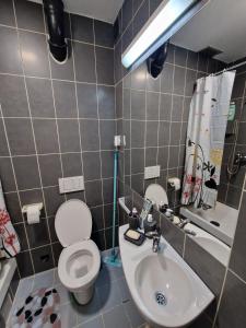 uma casa de banho com um WC e um lavatório em Harmony Apartment em Belgrado