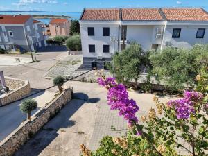 Zahrada ubytování Apartments Ana