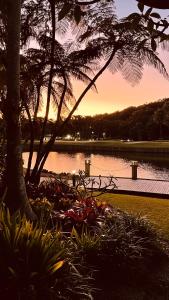 a park with a tree and a body of water at Beachside Resort Lagoon Rooms with Garden Patio in Coffs Harbour