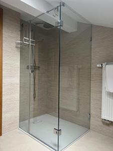 a shower with a glass door in a bathroom at Haus Monica in Bodenmais +51 photos