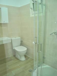une salle de bain avec toilettes et douche en verre dans l'établissement Beach house Yannis 3 in Agios Gordios Beach on Corfu, à Agios Gordios