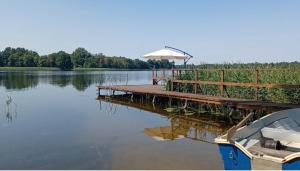 a dock with a boat on a lake with an umbrella at ŠAMO UOSTAS - vila šeimoms ant ežero kranto in Inturkė