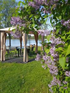 a picnic area with a table and trees with purple flowers at ŠAMO UOSTAS - vila šeimoms ant ežero kranto in Inturkė
