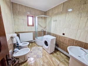 a bathroom with a sink and a toilet and a shower at Cabana Poiana Dealul Frumos in Gârda de Sus