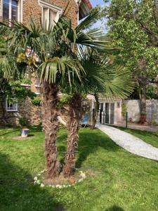 una palmera en el patio de una casa en SUITE AVEC TERRASSE ET JARDIN AUX PORTES DE PARIS, en Les Pavillons-sous-Bois