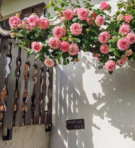 Une bande de roses roses suspendues à un mur dans l'établissement Apartment Kolodvor, à Dornberk