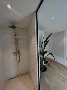 a bathroom with a shower and a potted plant at Chez Arthur in Marche-en-Famenne