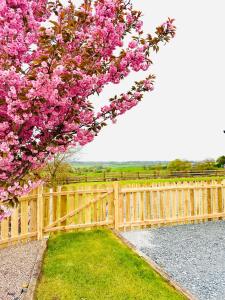 uma cerca de madeira com uma árvore com flores cor-de-rosa em Robins Cottage 