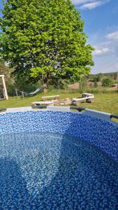basen z niebieskimi płytkami i drzewem w tle w obiekcie Jesionowe Domki w mieście Zełwągi