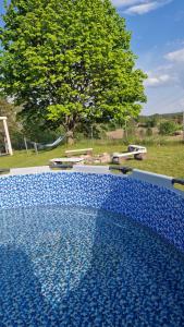 a blue tile swimming pool with a tree in the background at Jesionowe Domki in Zełwągi