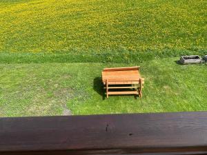 A garden outside Ciasa Fam Comploi