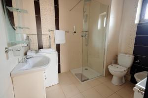 een badkamer met een wastafel, een toilet en een douche bij Aparthotel Punct pe i in Sighetu Marmaţiei