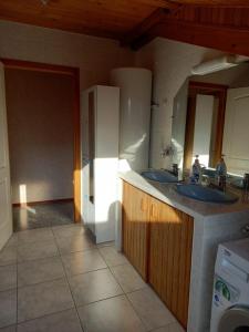 La cuisine est équipée de 2 lavabos et d'un réfrigérateur. dans l'établissement Les appartements du Lion de Belfort, à Belfort