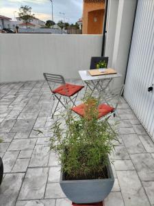 Balkón alebo terasa v ubytovaní "Les Bambous" studio cosy climatisé au calme de 37 m2 parking gratuit à Argelès sur mer