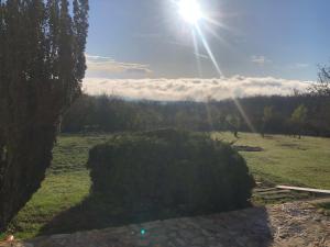 Príroda v okolí vily