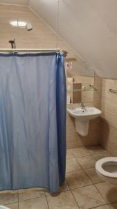 a bathroom with a blue shower curtain and a sink at Ośrodek SUDETY in Jarnołtówek +21 photos