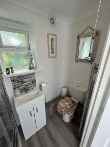 W łazience znajduje się umywalka, toaleta i lustro. w obiekcie Ruby's Den w mieście Carbis Bay