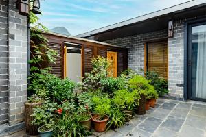 a row of potted plants on the side of a house at SecGarden Boutique Hotel in Zhangjiajie