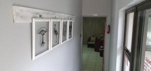 a hallway with pictures of birds on a wall at Siesta Guest House in Alberton