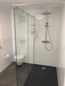 a bathroom with a glass shower with a toilet at Ferienwohnung & Monteurunterkunft "Mainbogen-Blick" in Grettstadt
