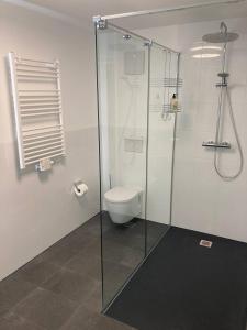 a bathroom with a toilet and a glass shower at Ferienwohnung & Monteurunterkunft "Mainbogen-Blick" in Grettstadt