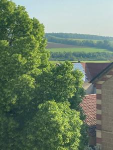 grupa drzew obok budynku w obiekcie Ferienwohnung & Monteurunterkunft "Mainbogen-Blick" w mieście Grettstadt