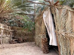 Eine Hütte mit Palmen. in der Unterkunft Forest Camp Siwa - كامب الغابة in Siwa