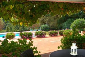 un jardín con un montón de plantas y flores en Colle Val D'Elsa - Agriturismo Bardeggiano, en Colle Val D'Elsa