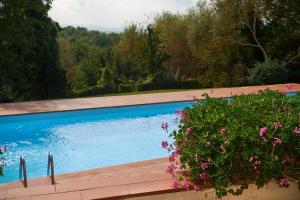 una piscina con fiori in giardino di Colle Val D'Elsa - Agriturismo Bardeggiano a Colle Val D'Elsa
