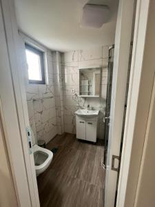 een badkamer met een toilet en een wastafel bij Apartman Staša Zlatibor in Zlatibor