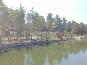 a body of water with trees in the background at Kavalona Park in Vlorë