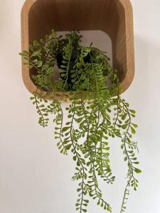 Photo de la galerie de l'établissement Appartement Crème, à Manosque