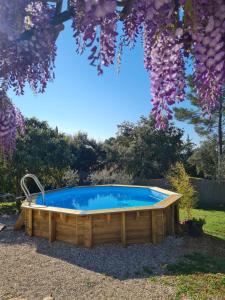 uma piscina de madeira num quintal com uma árvore em Ti'colombier d Azur em Trans-en-Provence