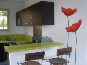 Kuchyň nebo kuchyňský kout v ubytování Maison golfe d'Ajaccio: vue mer