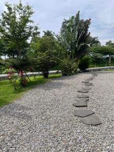 Zahrada ubytování Dongshan Free Garden