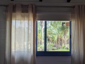 普罗旺斯山谷山林小屋外面的花园