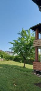 Ein Baum auf einem Feld neben einem Haus in der Unterkunft Ferienwohnung Treysa in Schwalmstadt