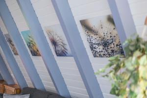 Galeriebild der Unterkunft Ferienwohnpark Immenstaad am Bodensee Nurdachhaus Typ 7 ND 40 in Immenstaad am Bodensee