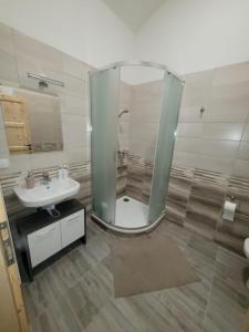 bagno con doccia, lavandino e specchio di Chateau Moravany - apartmány, teepee a wellness a Ronow an der Doubrava