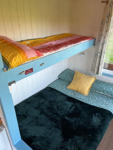 Penally的住宿－Reef Shepherds Hut，客房设有两张双层床和一扇窗户。
