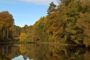a view of a river with trees and reflections in the water at Cosy cottage near Alton Towers in Rocester